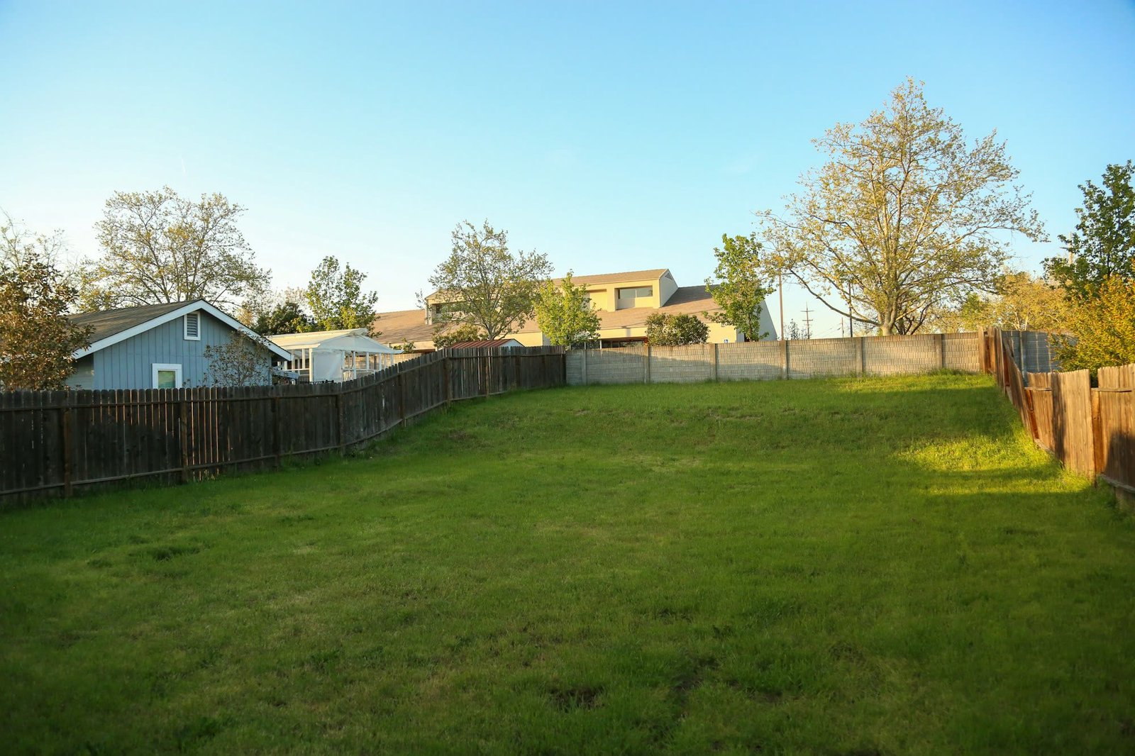 Ordinary fenced backyard lawn, freshly mowed